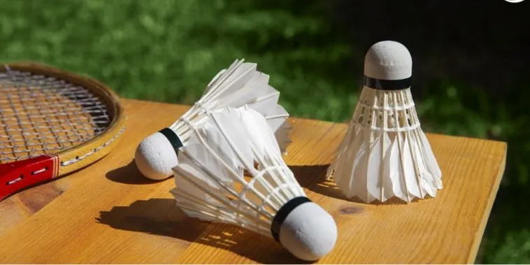 Bí Kíp Đặt Cược Cầu Lông Tại EU88 Thắng Lớn Mỗi Ngày Ngay 2 Bí Kíp Đặt Cược Cầu Lông Tại EU88 Thắng Lớn Mỗi Ngày Ngay