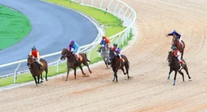 Trải Nghiệm Đỉnh Cao Với Cá Cược Đua Ngựa EU88 Đầy Kịch Tính